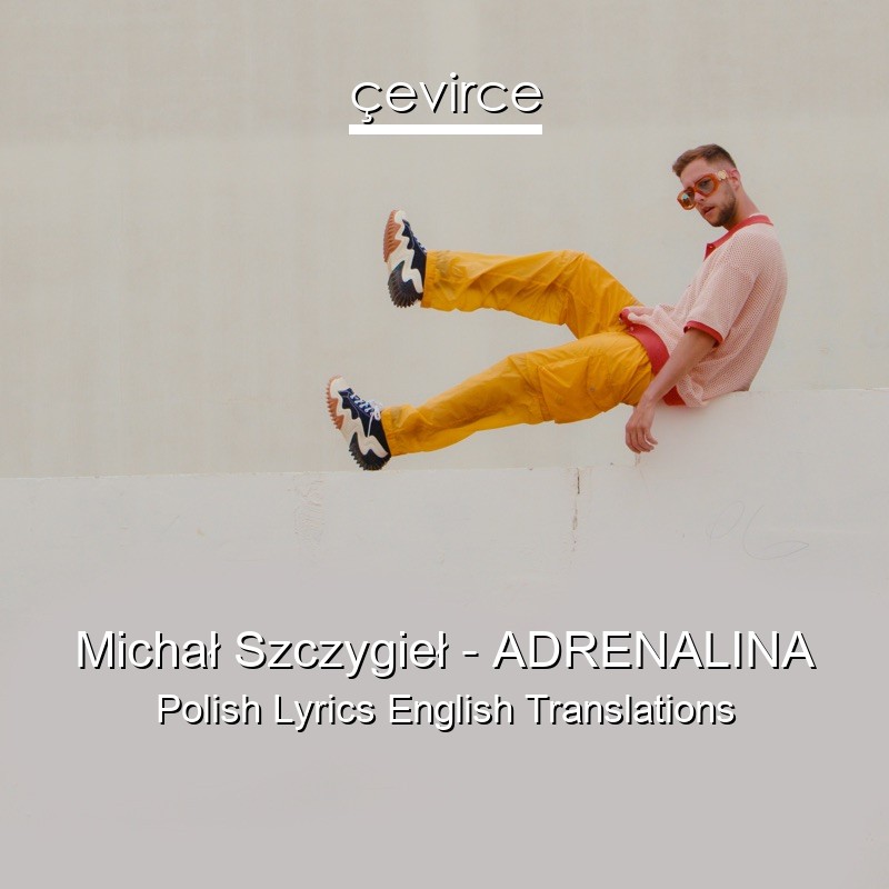 Michał Szczygieł – ADRENALINA Polish Lyrics English Translations