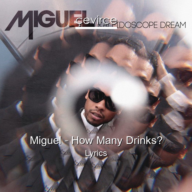 Miguel – How Many Drinks? Lyrics