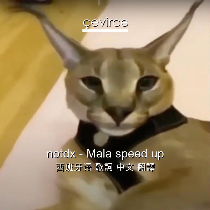 notdx – Mala speed up 西班牙语 歌詞 中文 翻譯
