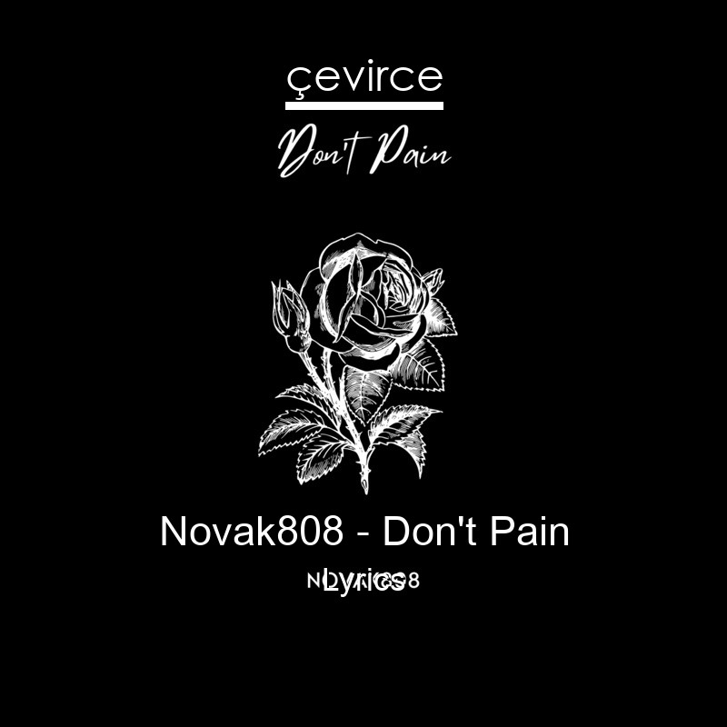 Novak808 – Don’t Pain Lyrics