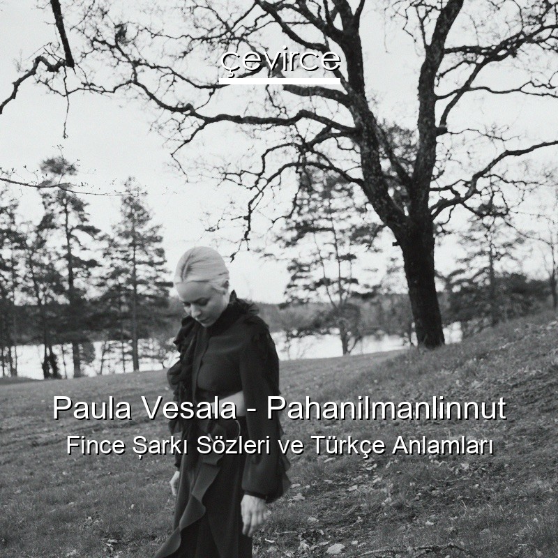 Paula Vesala – Pahanilmanlinnut Fince Şarkı Sözleri Türkçe Anlamları