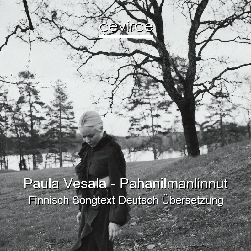 Paula Vesala – Pahanilmanlinnut Finnisch Songtext Deutsch Übersetzung