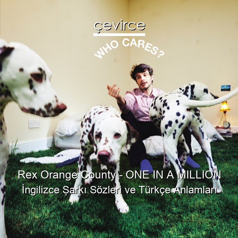 Rex Orange County – ONE IN A MILLION İngilizce Şarkı Sözleri Türkçe Anlamları