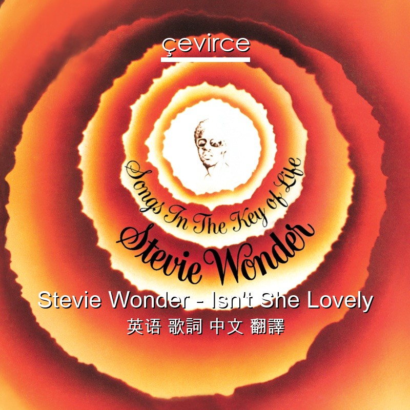 Stevie Wonder – Isn’t She Lovely 英语 歌詞 中文 翻譯