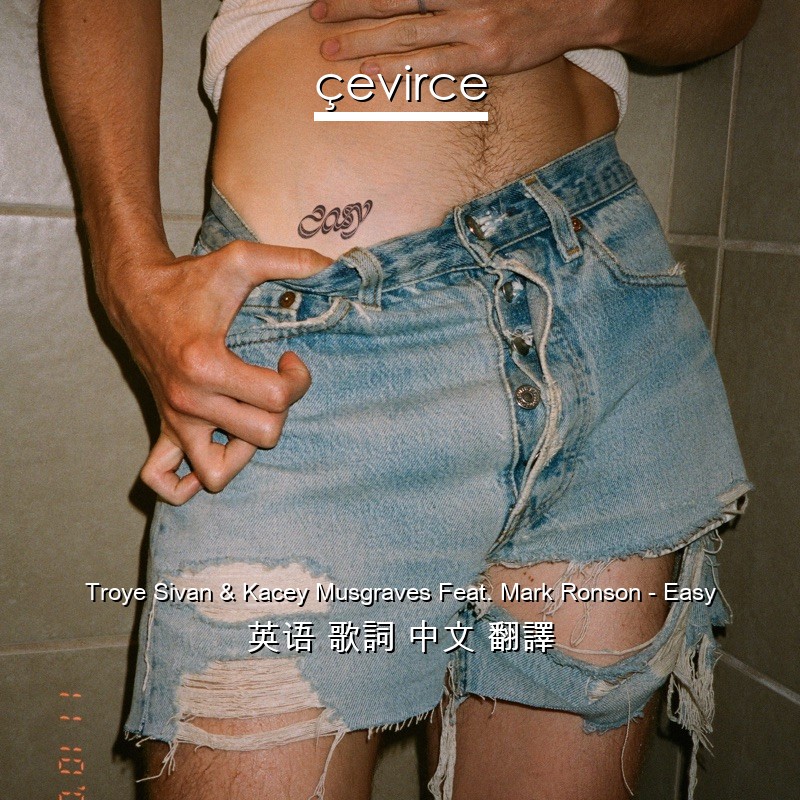Troye Sivan & Kacey Musgraves Feat. Mark Ronson – Easy 英语 歌詞 中文 翻譯