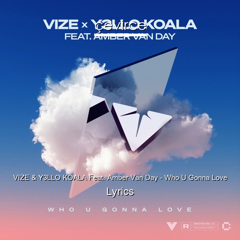 VIZE & Y3LLO KOALA Feat. Amber Van Day – Who U Gonna Love Lyrics