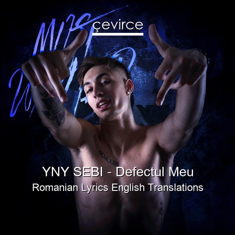YNY SEBI – Defectul Meu Romanian Lyrics English Translations