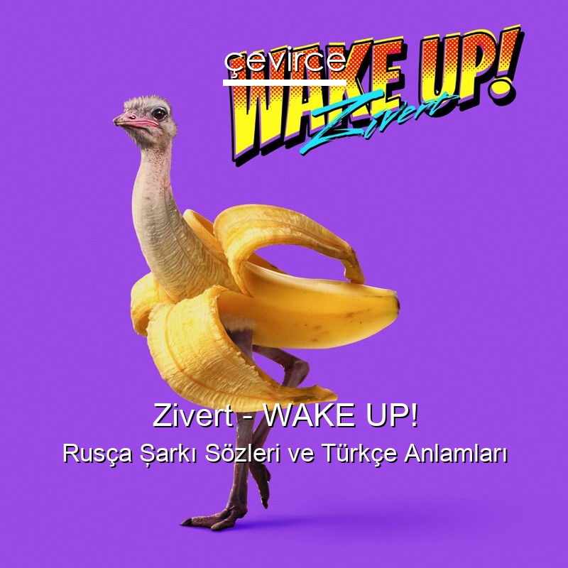 Zivert – WAKE UP! Rusça Şarkı Sözleri Türkçe Anlamları