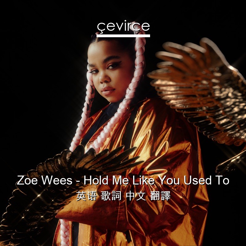 Zoe Wees – Hold Me Like You Used To 英语 歌詞 中文 翻譯
