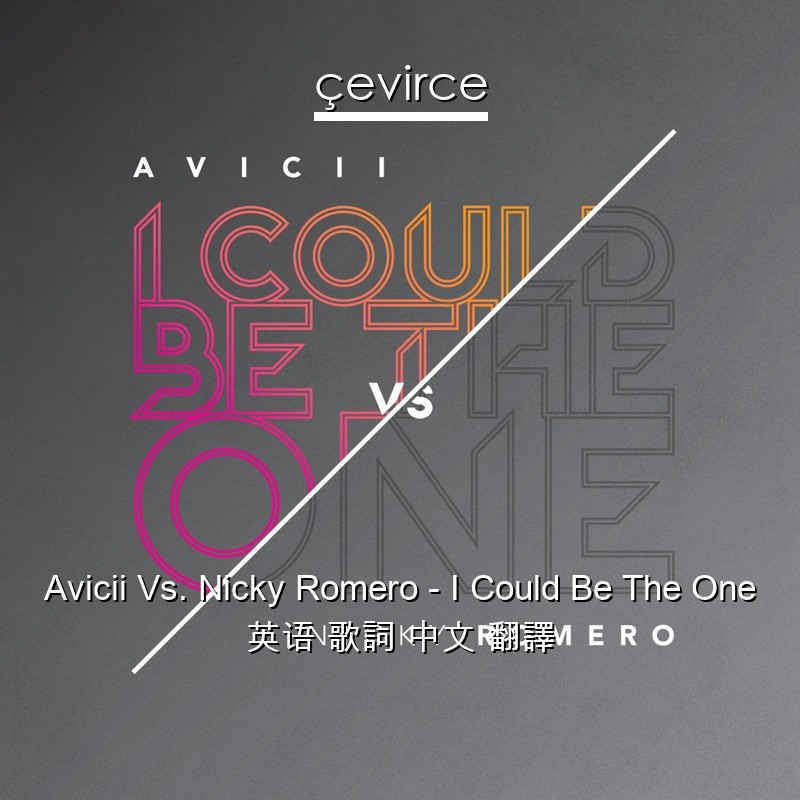 Avicii Vs. Nicky Romero – I Could Be The One 英语 歌詞 中文 翻譯