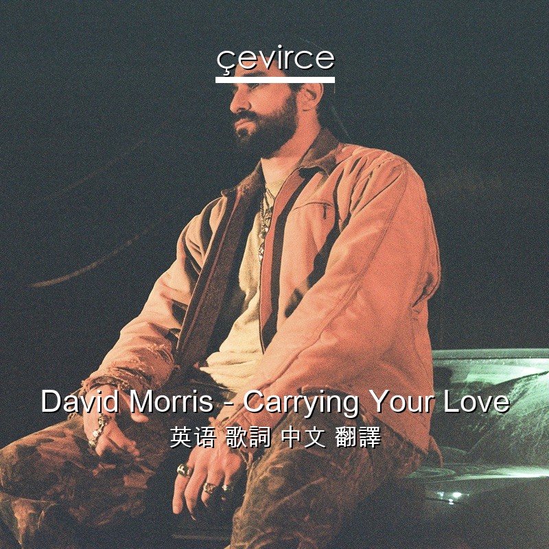 David Morris – Carrying Your Love 英语 歌詞 中文 翻譯