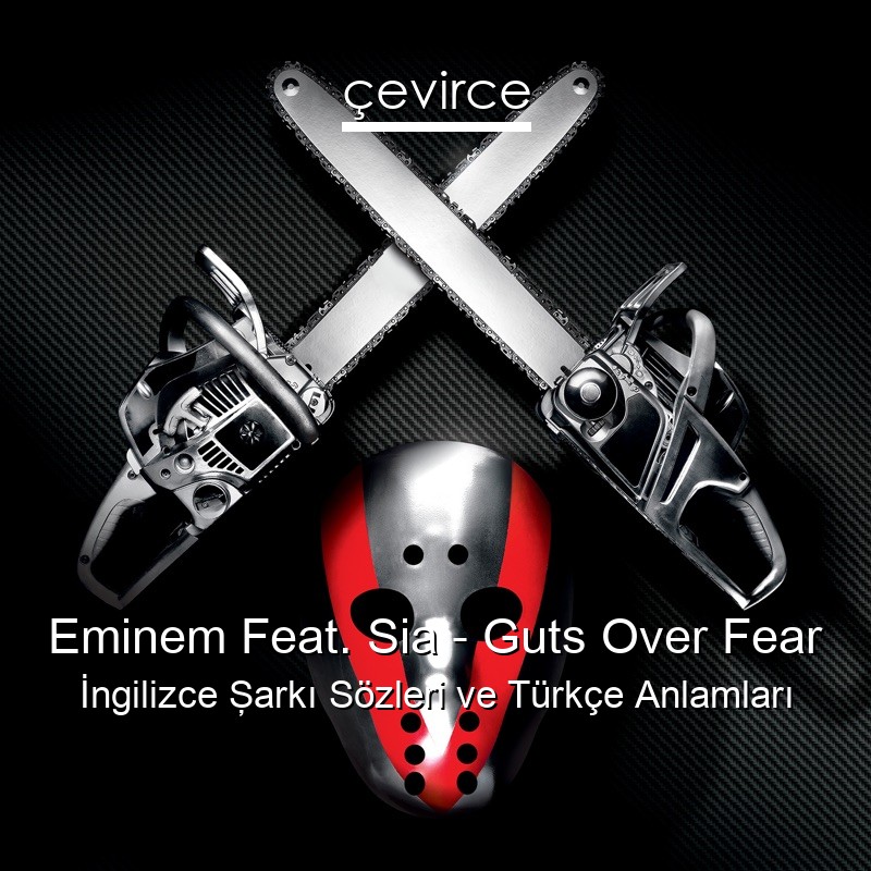 Eminem Feat. Sia – Guts Over Fear İngilizce Şarkı Sözleri Türkçe Anlamları