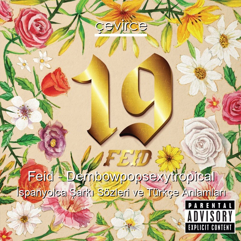 Feid – Dembowpopsexytropical İspanyolca Şarkı Sözleri Türkçe Anlamları