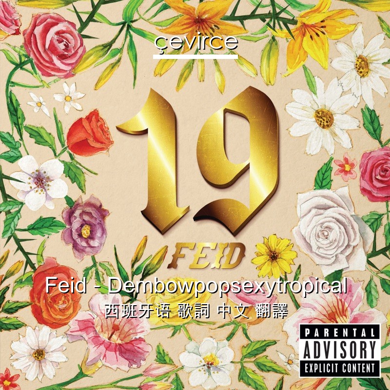 Feid – Dembowpopsexytropical 西班牙语 歌詞 中文 翻譯