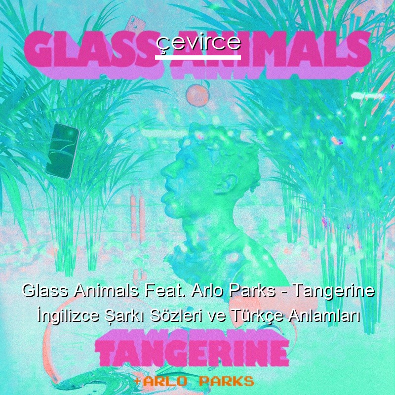 Glass Animals Feat. Arlo Parks – Tangerine İngilizce Şarkı Sözleri Türkçe Anlamları