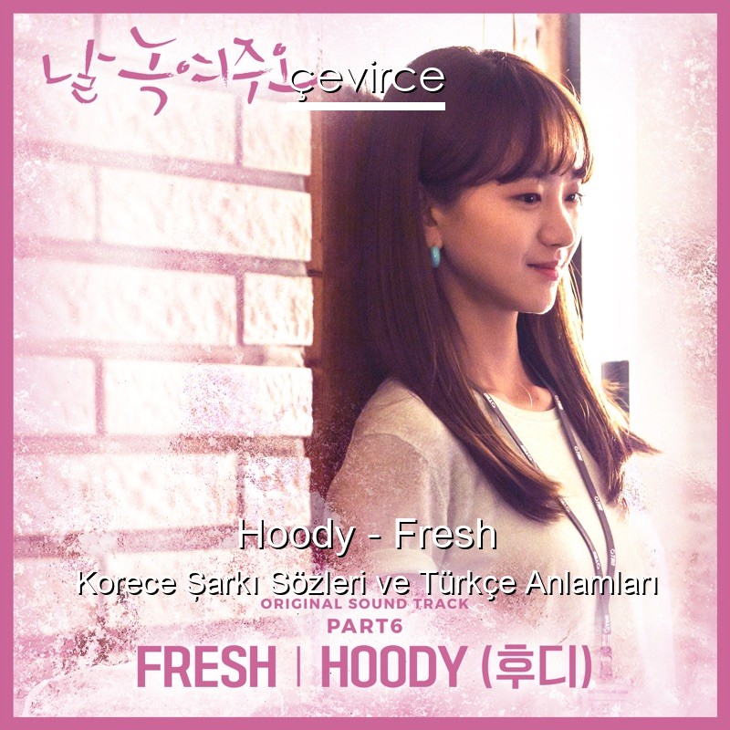 Hoody – Fresh Korece Şarkı Sözleri Türkçe Anlamları
