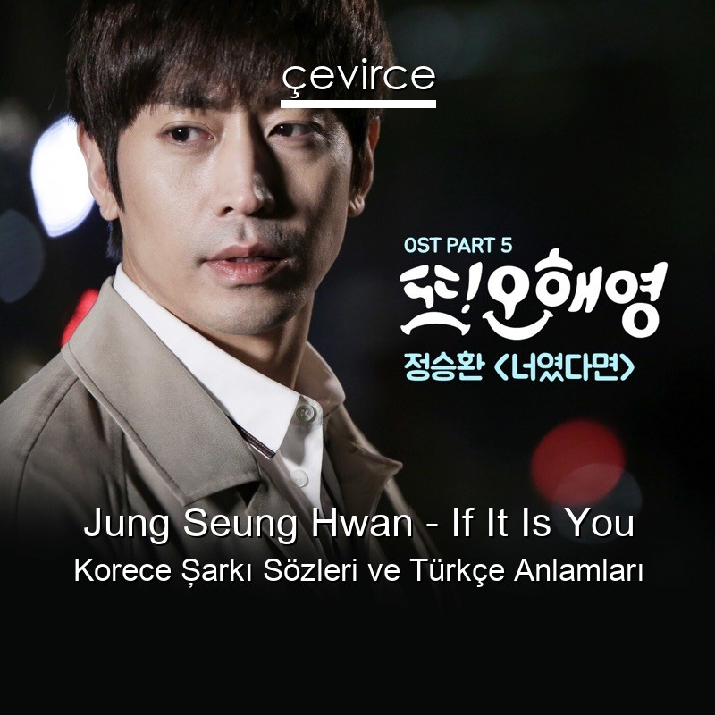 Jung Seung Hwan – If It Is You Korece Şarkı Sözleri Türkçe Anlamları