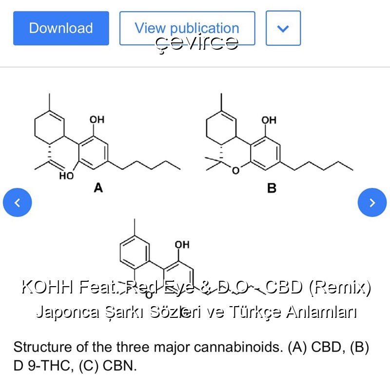 KOHH Feat. Red Eye & D.O – CBD (Remix) Japonca Şarkı Sözleri Türkçe Anlamları