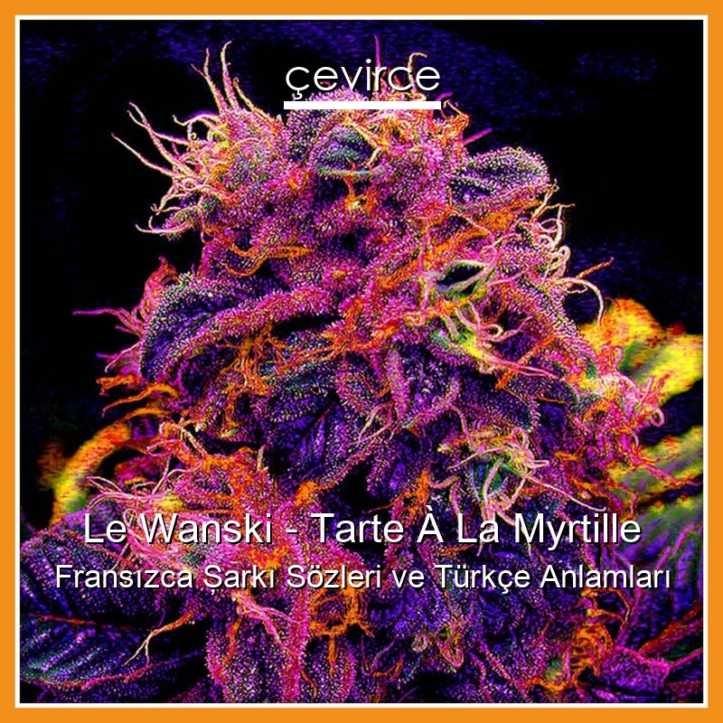 Le Wanski – Tarte À La Myrtille Fransızca Şarkı Sözleri Türkçe Anlamları