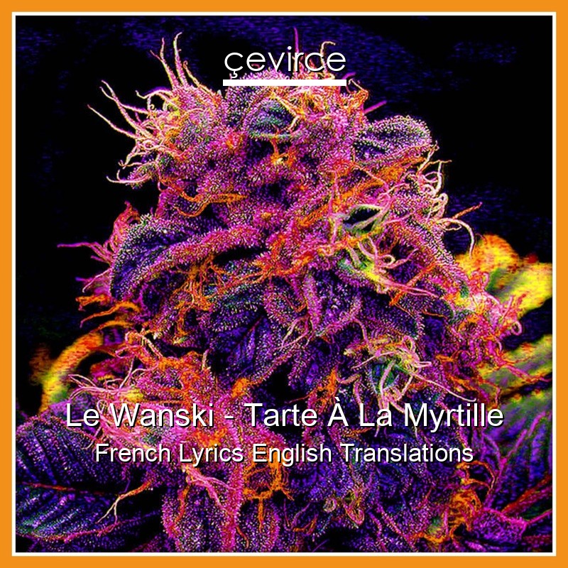 Le Wanski – Tarte À La Myrtille French Lyrics English Translations