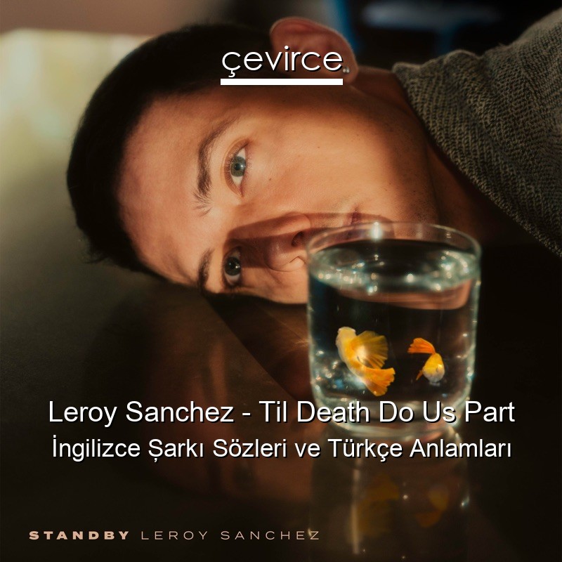 Leroy Sanchez – Til Death Do Us Part İngilizce Şarkı Sözleri Türkçe Anlamları