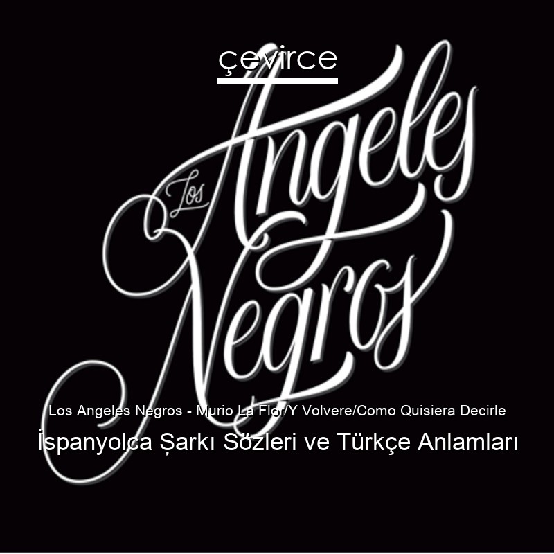 Los Angeles Negros – Murio La Flor/Y Volvere/Como Quisiera Decirle İspanyolca Şarkı Sözleri Türkçe Anlamları