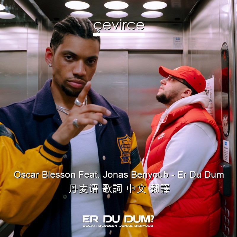 Oscar Blesson Feat. Jonas Benyoub – Er Du Dum 丹麦语 歌詞 中文 翻譯