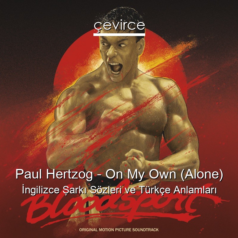 Paul Hertzog – On My Own (Alone) İngilizce Şarkı Sözleri Türkçe Anlamları