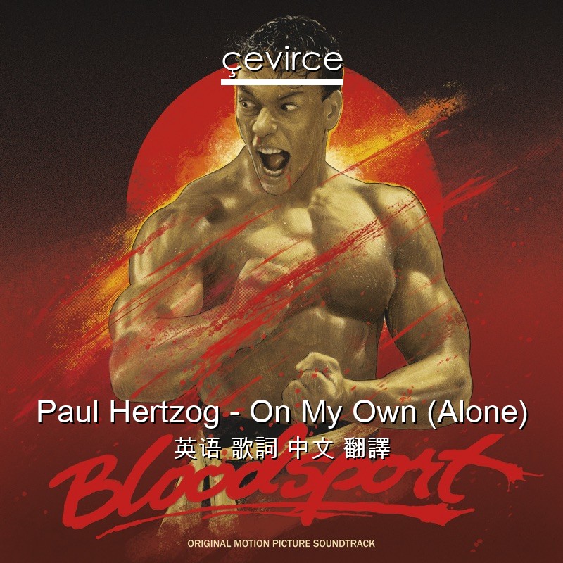 Paul Hertzog – On My Own (Alone) 英语 歌詞 中文 翻譯