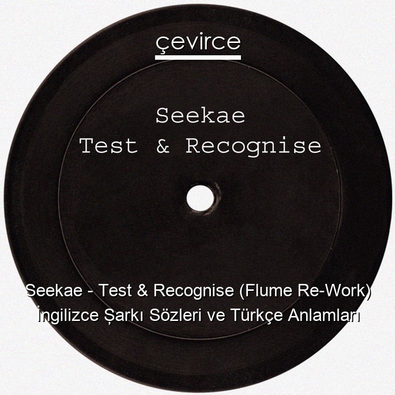 Seekae – Test & Recognise (Flume Re-Work) İngilizce Şarkı Sözleri Türkçe Anlamları