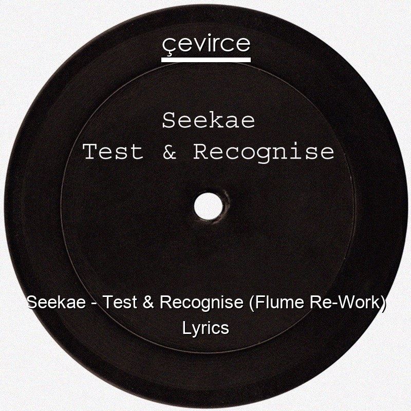 Seekae – Test & Recognise (Flume Re-Work) Lyrics
