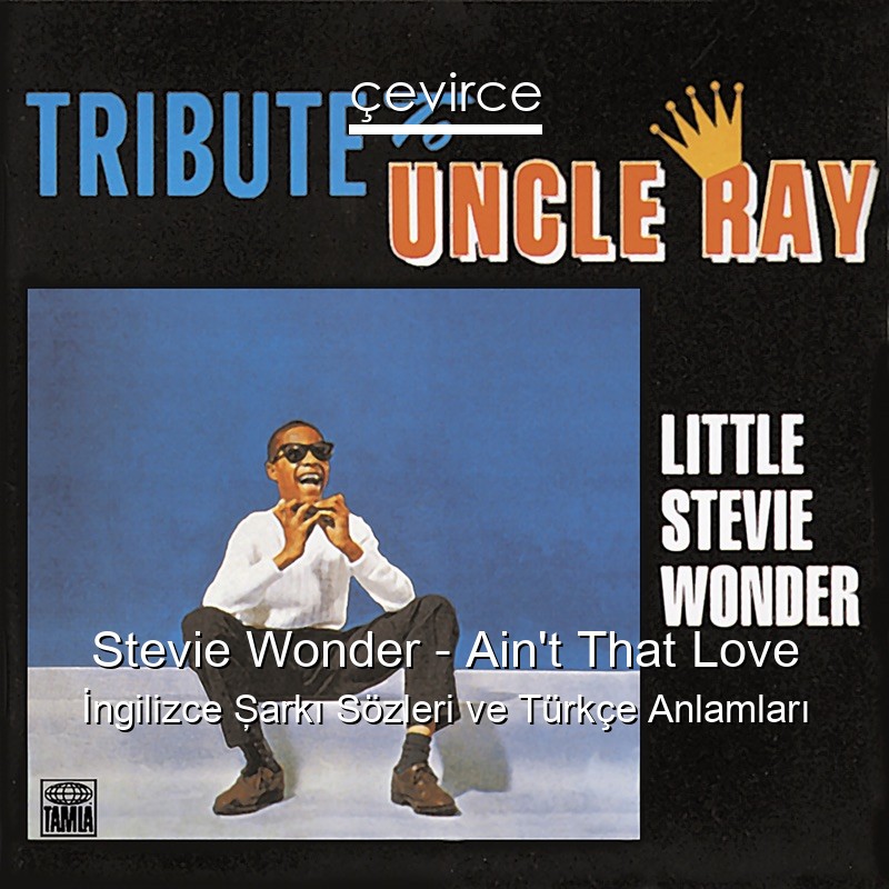 Stevie Wonder – Ain’t That Love İngilizce Şarkı Sözleri Türkçe Anlamları