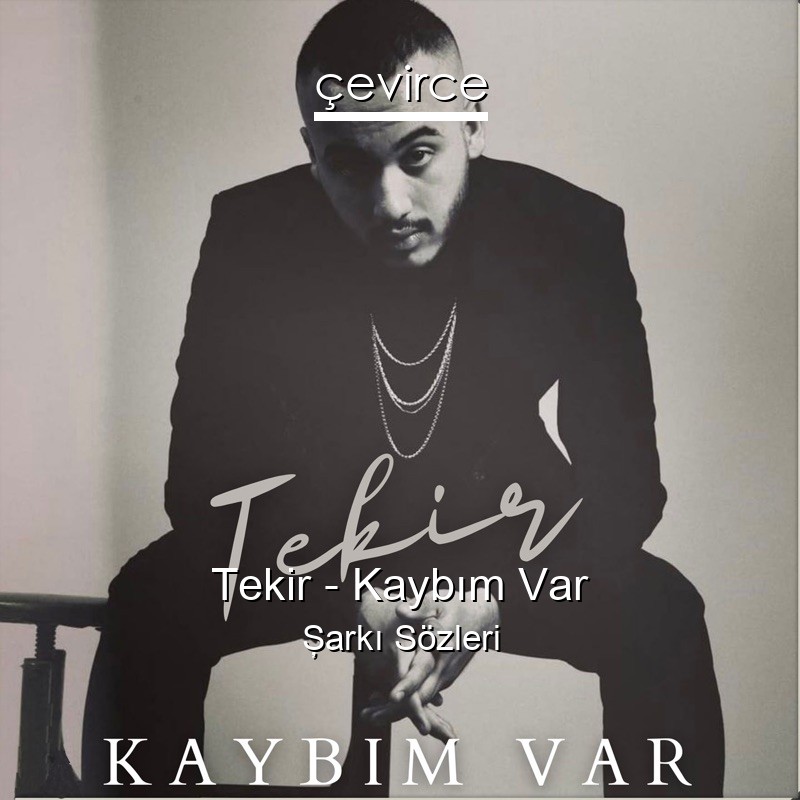 Tekir – Kaybım Var Şarkı Sözleri