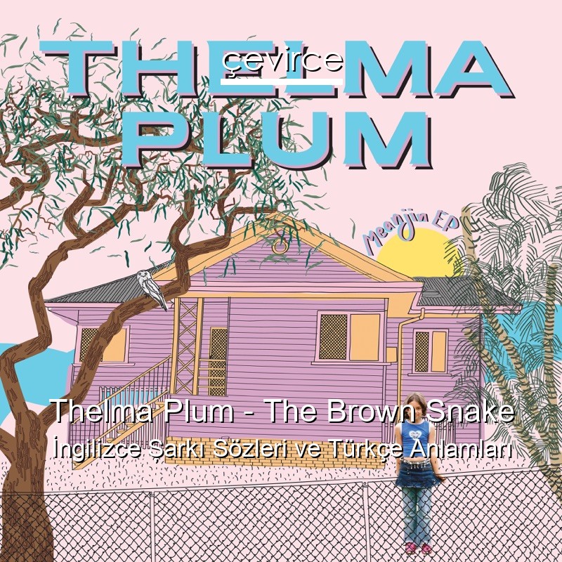 Thelma Plum – The Brown Snake İngilizce Şarkı Sözleri Türkçe Anlamları