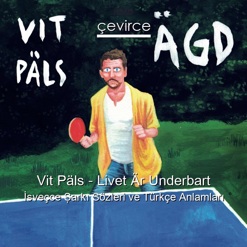 Vit Päls – Livet Är Underbart İsveçce Şarkı Sözleri Türkçe Anlamları