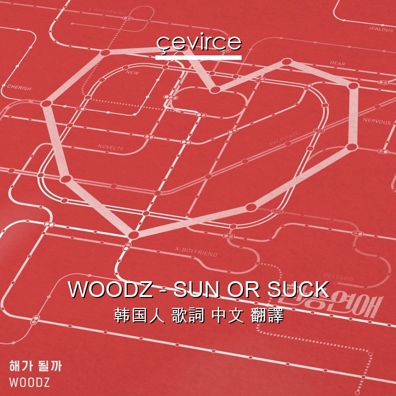 WOODZ – SUN OR SUCK 韩国人 歌詞 中文 翻譯