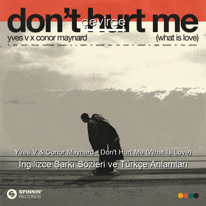 Yves V & Conor Maynard – Don’t Hurt Me (What Is Love) İngilizce Şarkı Sözleri Türkçe Anlamları