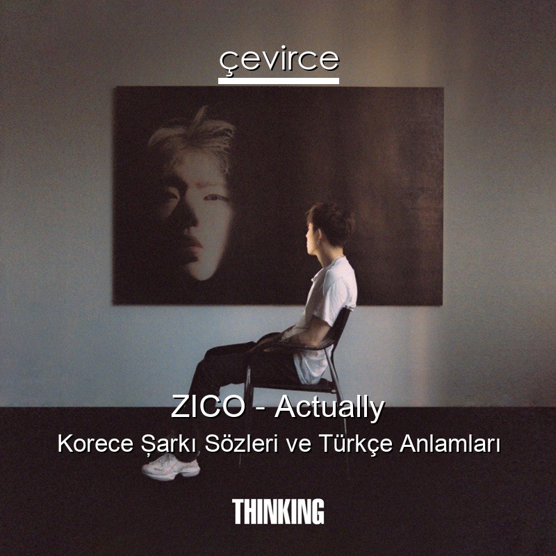 ZICO – Actually Korece Şarkı Sözleri Türkçe Anlamları