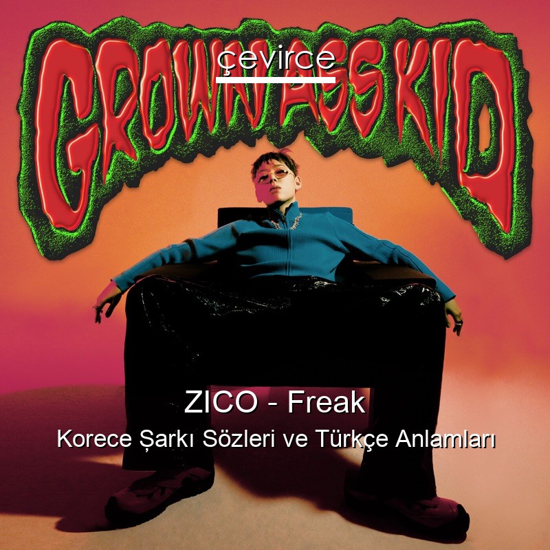 ZICO – Freak Korece Şarkı Sözleri Türkçe Anlamları