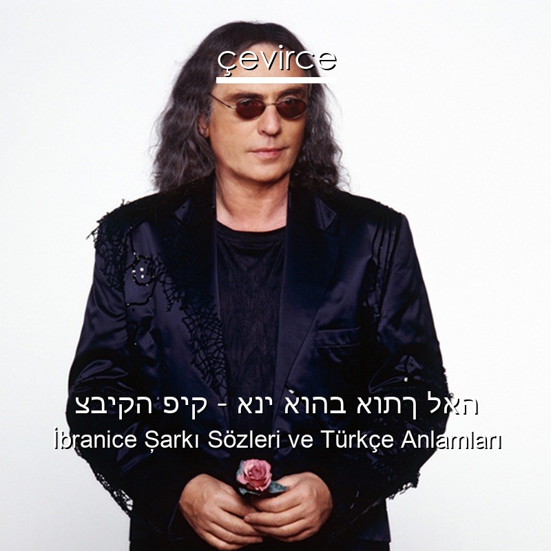 צביקה פיק – אני אוהב אותך לאה İbranice Şarkı Sözleri Türkçe Anlamları