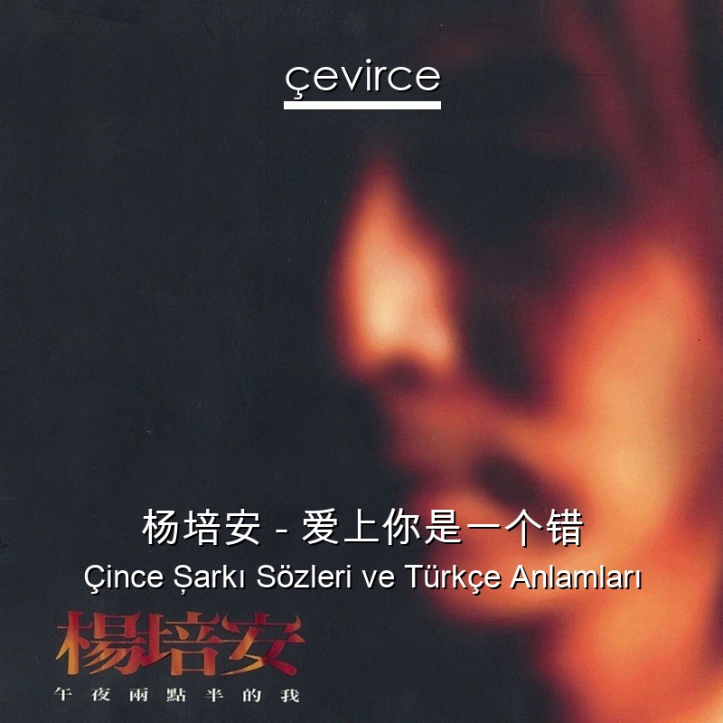 杨培安 – 爱上你是一个错 Çince Şarkı Sözleri Türkçe Anlamları