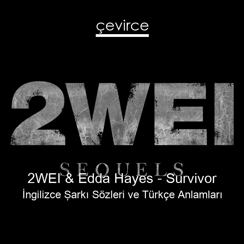 2WEI & Edda Hayes – Survivor İngilizce Şarkı Sözleri Türkçe Anlamları