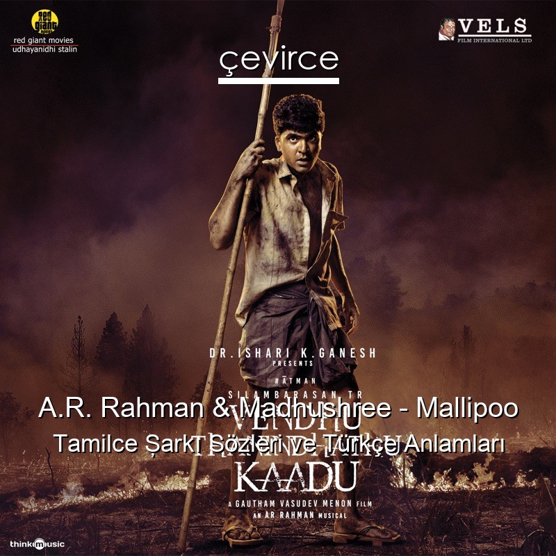 A.R. Rahman & Madhushree – Mallipoo Tamilce Şarkı Sözleri Türkçe Anlamları