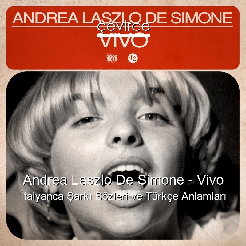 Andrea Laszlo De Simone – Vivo İtalyanca Şarkı Sözleri Türkçe Anlamları