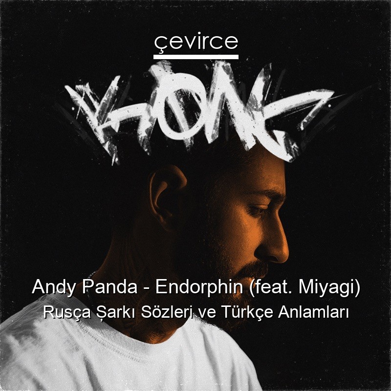 Andy Panda – Endorphin (feat. Miyagi) Rusça Şarkı Sözleri Türkçe Anlamları