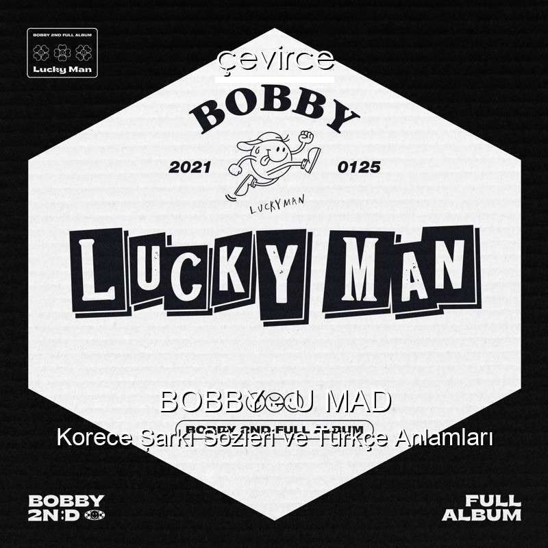 BOBBY – U MAD Korece Şarkı Sözleri Türkçe Anlamları