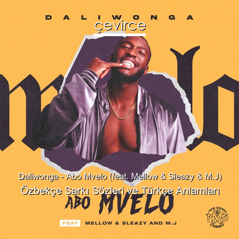 Daliwonga – Abo Mvelo (feat. Mellow & Sleazy & M.J) Özbekçe Şarkı Sözleri Türkçe Anlamları