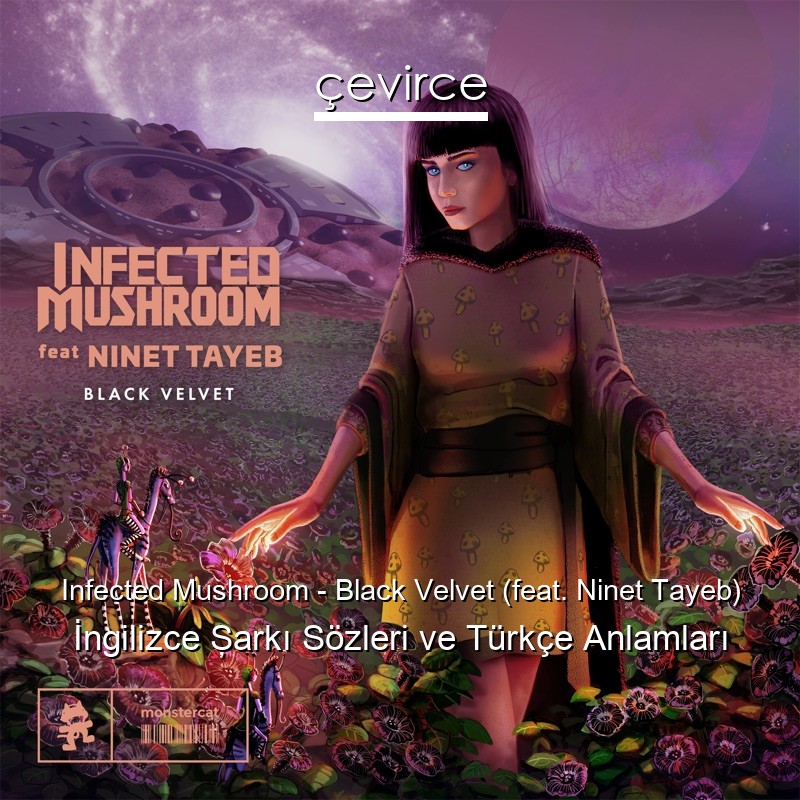 Infected Mushroom – Black Velvet (feat. Ninet Tayeb) İngilizce Şarkı Sözleri Türkçe Anlamları