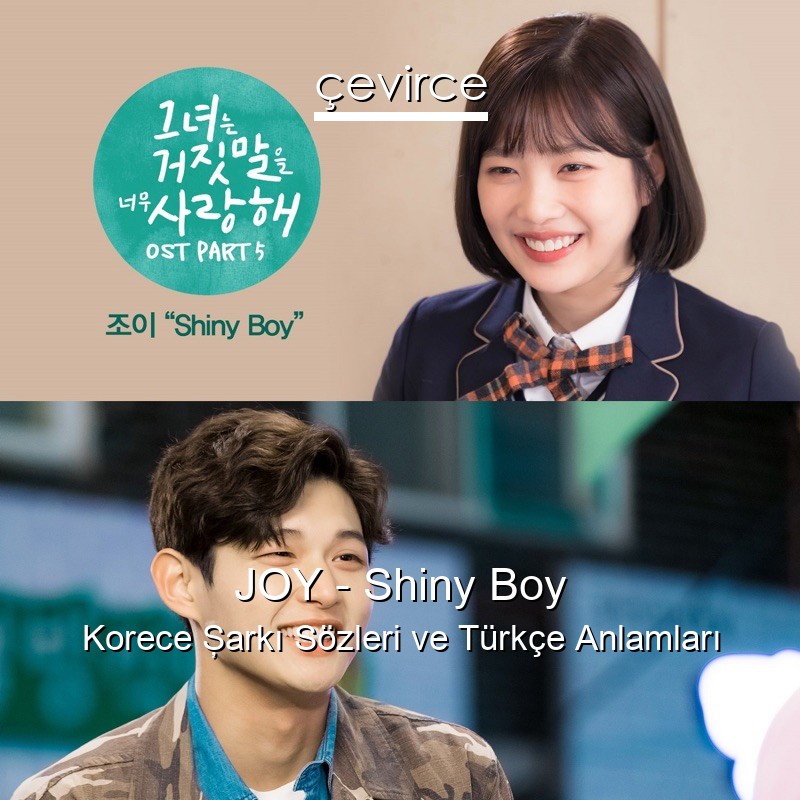 JOY – Shiny Boy Korece Şarkı Sözleri Türkçe Anlamları