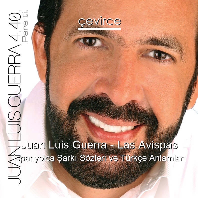 Juan Luis Guerra – Las Avispas İspanyolca Şarkı Sözleri Türkçe Anlamları
